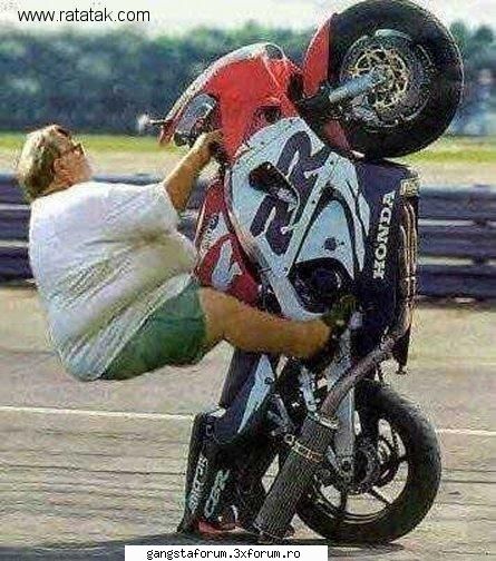 mijto :rotfl: cool