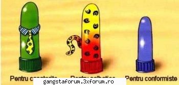 invata sa alegi;) - deedee - Poze Haioase
