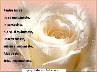 mafi@ - si asta este k o ultima - Poze cu voi