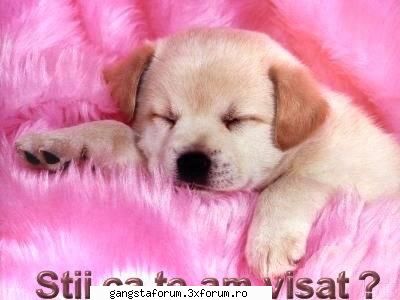 unu_rau - pfuaiiii...Ce rau esti sa mor io :)..in fine..eu - Poze cu voi